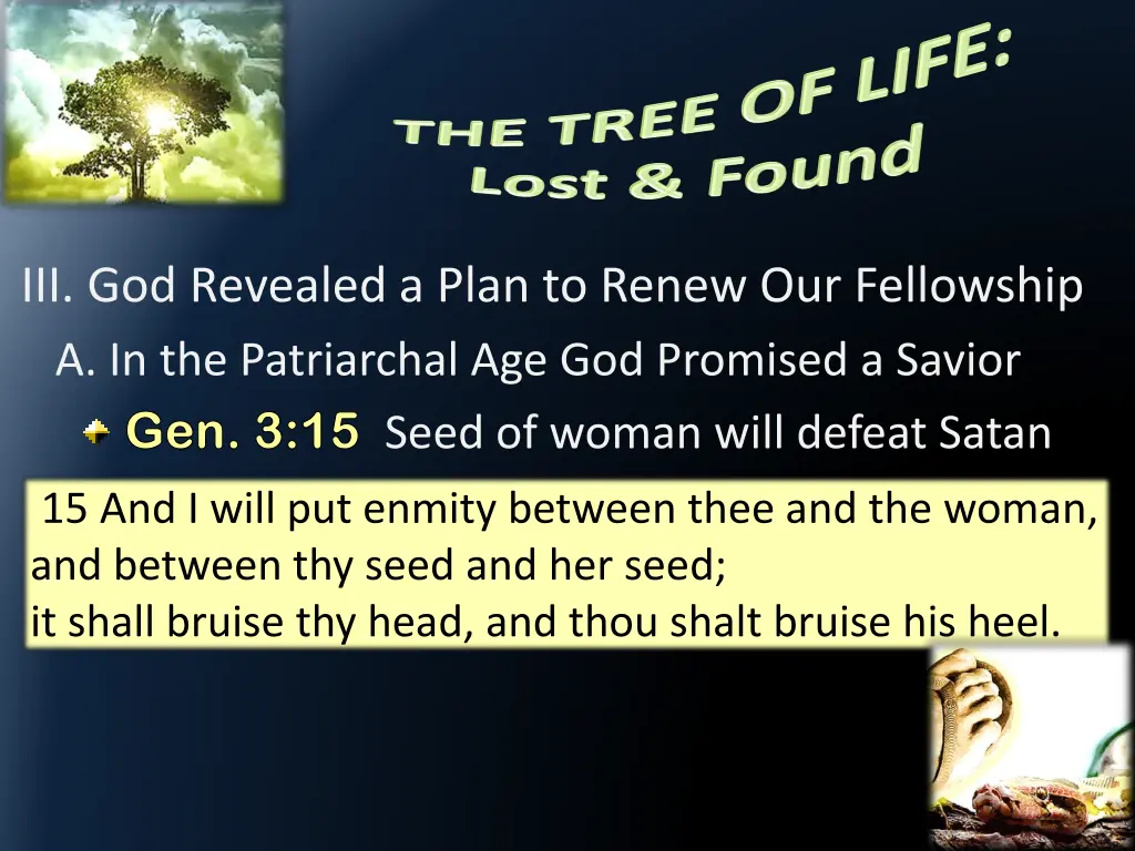 iii god revealed a plan to renew our fellowship