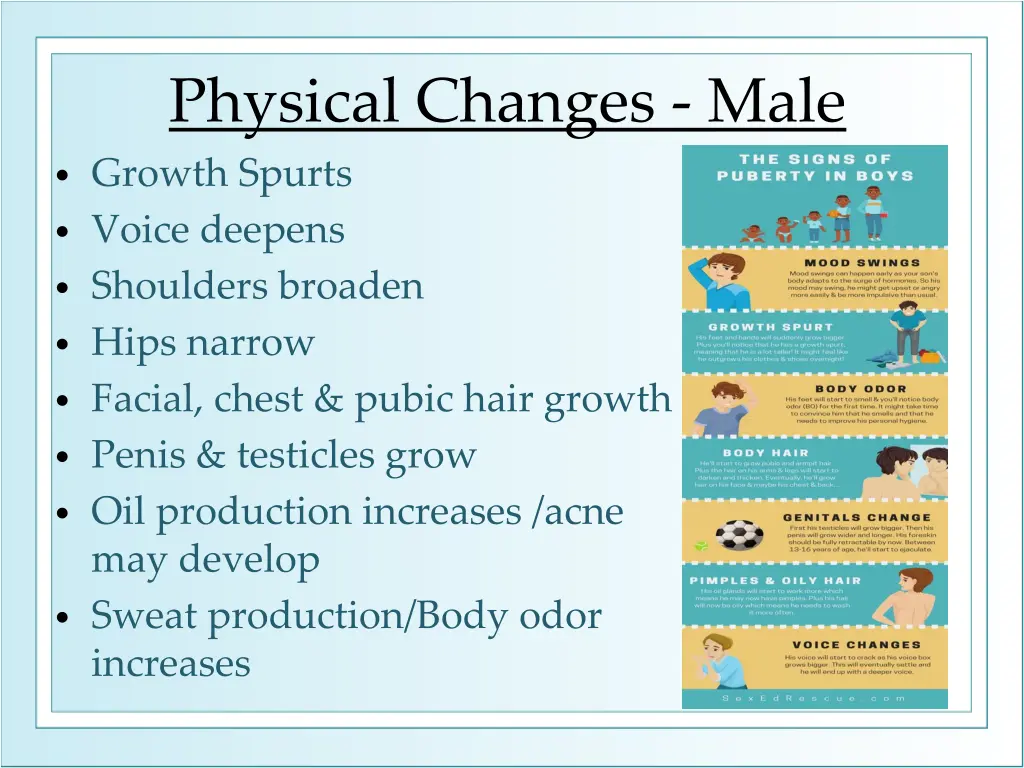 physical changes male