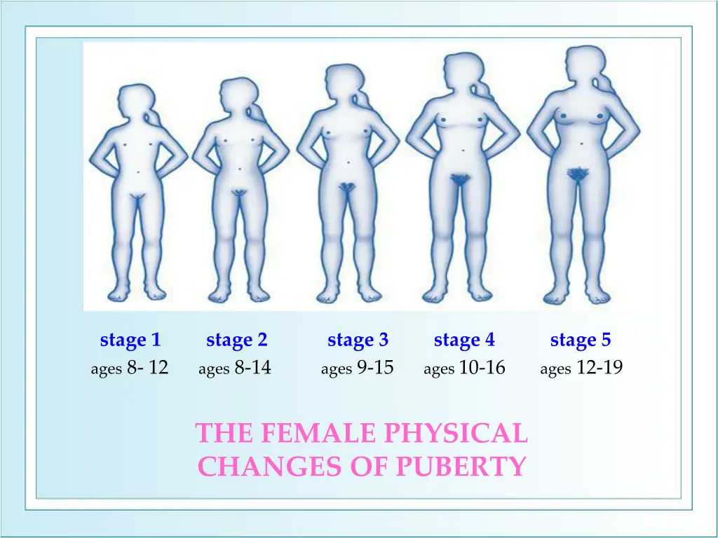 stage 1 stage 2 stage 3 stage 4 stage 5 ages