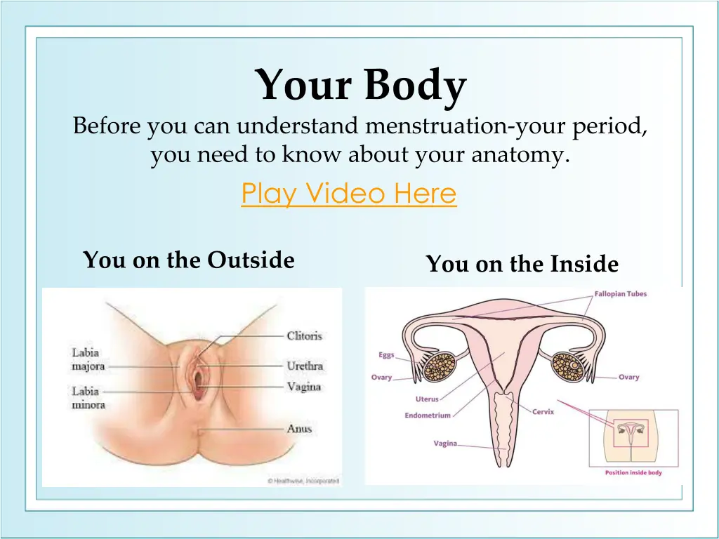 your body