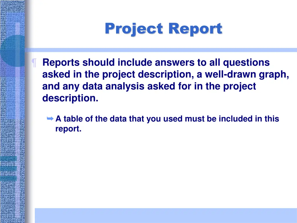 project report