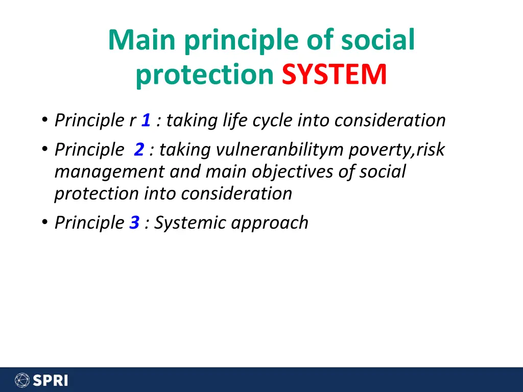 main principle of social protection system