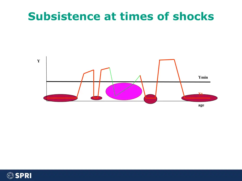 subsistence at times of shocks