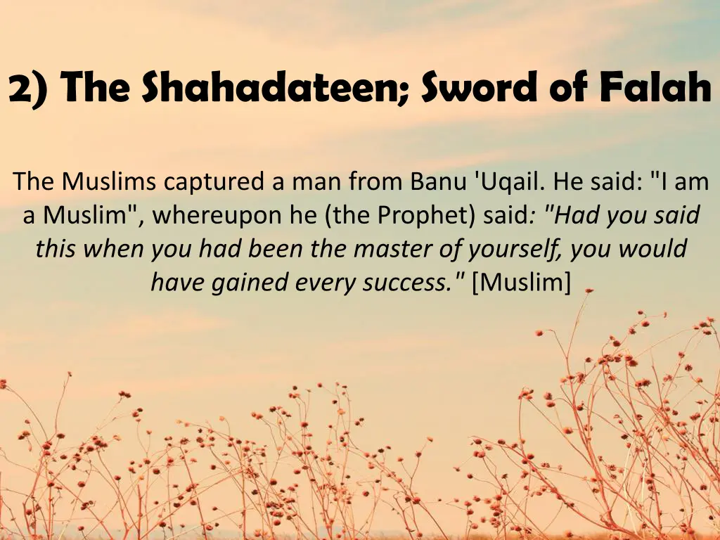 2 the shahadateen sword of falah