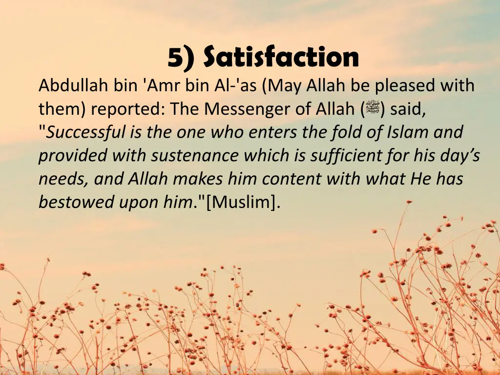 5 satisfaction