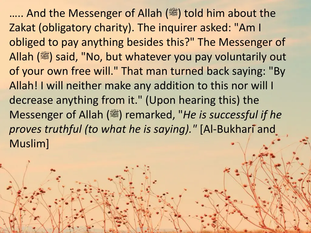 and the messenger of allah told him about