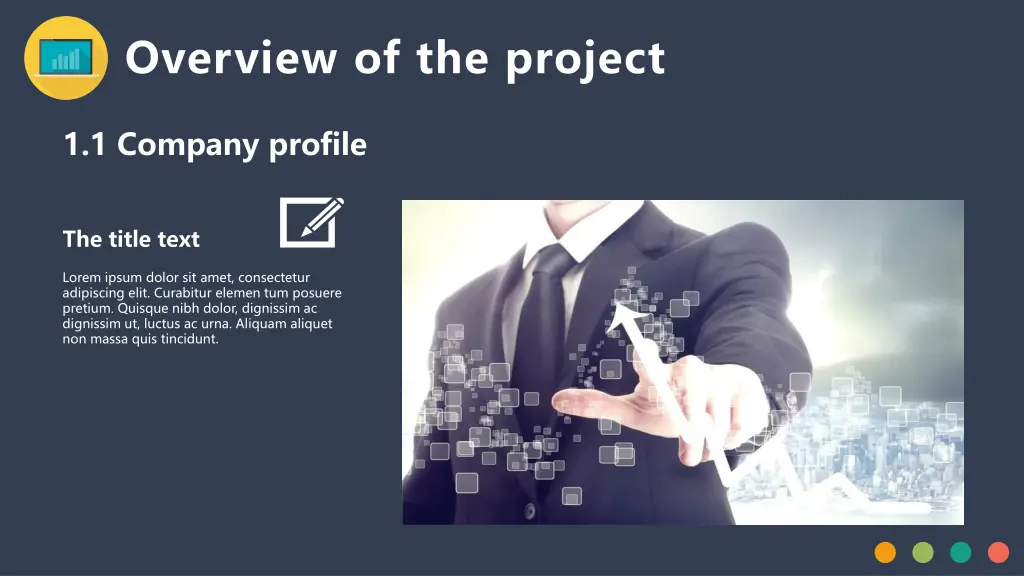 overview of the project