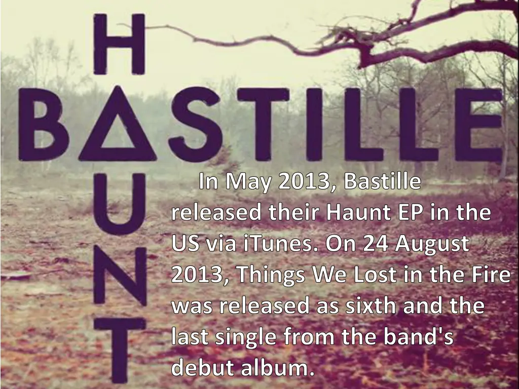 in may 2013 bastille released their haunt