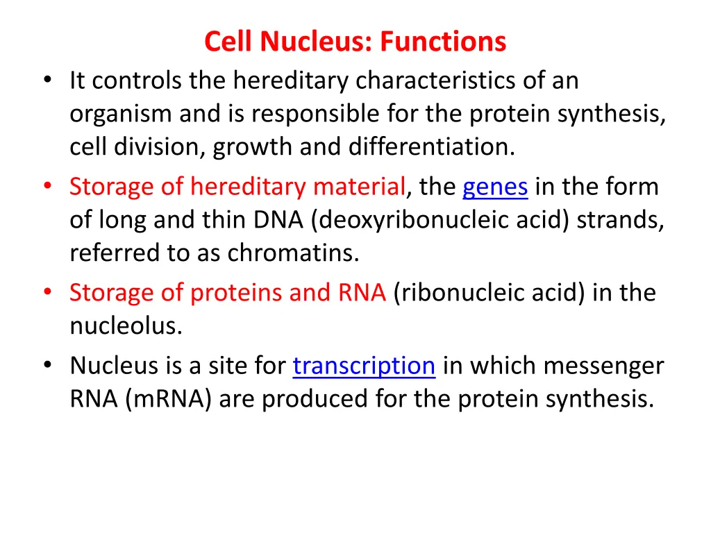 cell nucleus functions