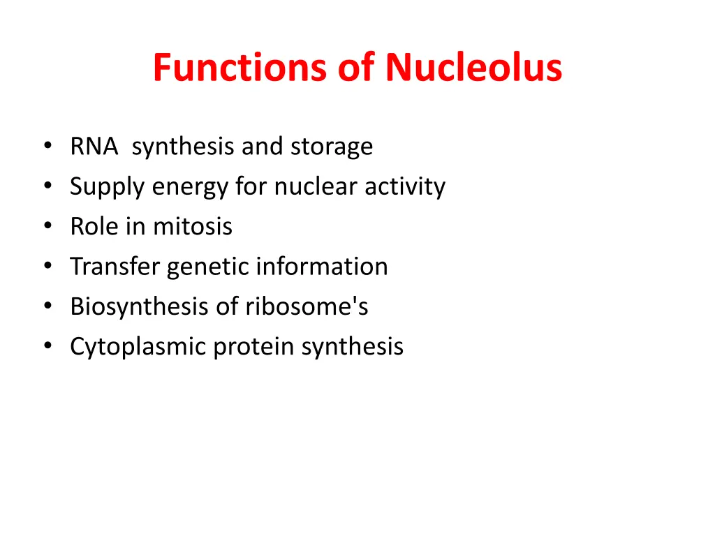 functions of nucleolus