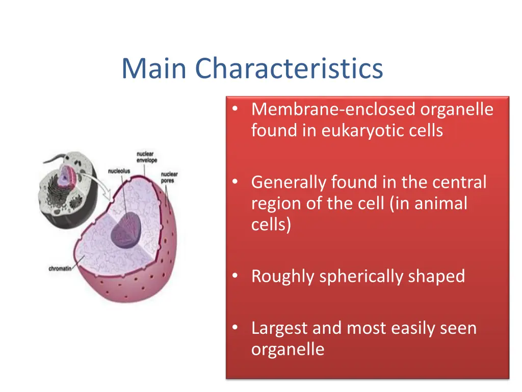 main characteristics