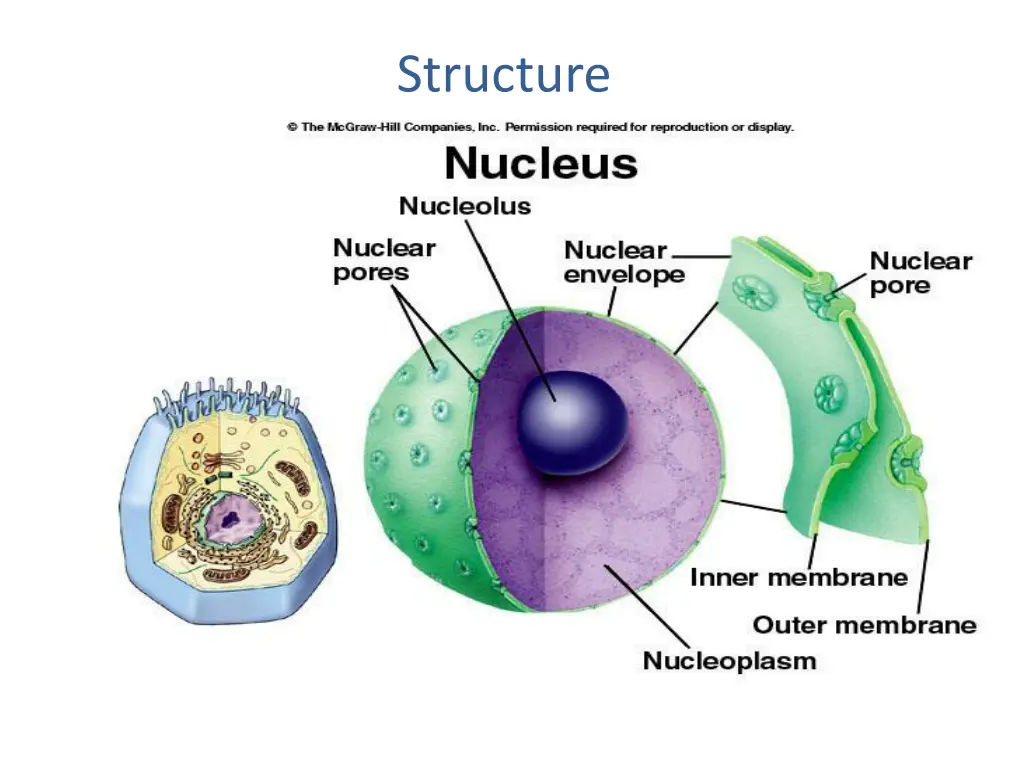 structure