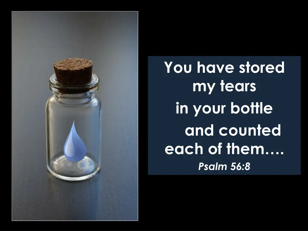 you have stored my tears in your bottle 2
