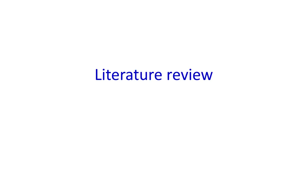 literature review