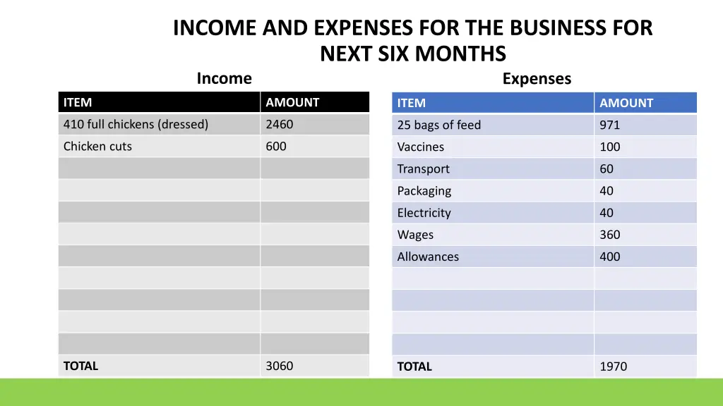 income and expenses for the business for next
