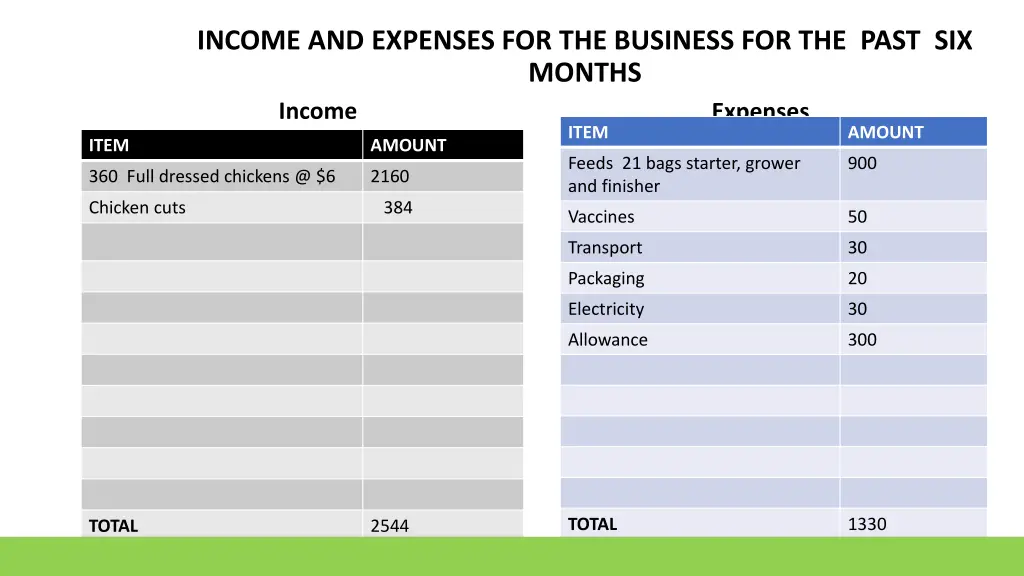 income and expenses for the business for the past