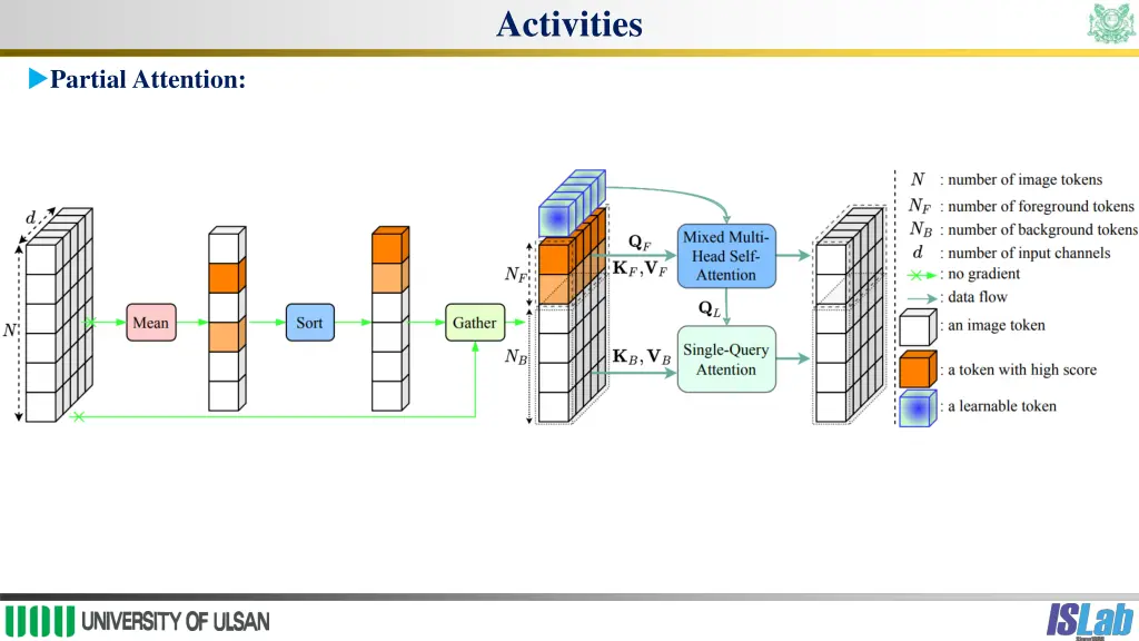 activities 1