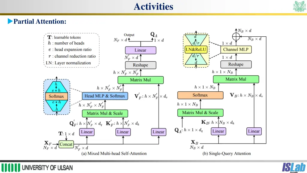 activities 2