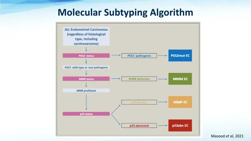 molecular subtyping algorithm m m