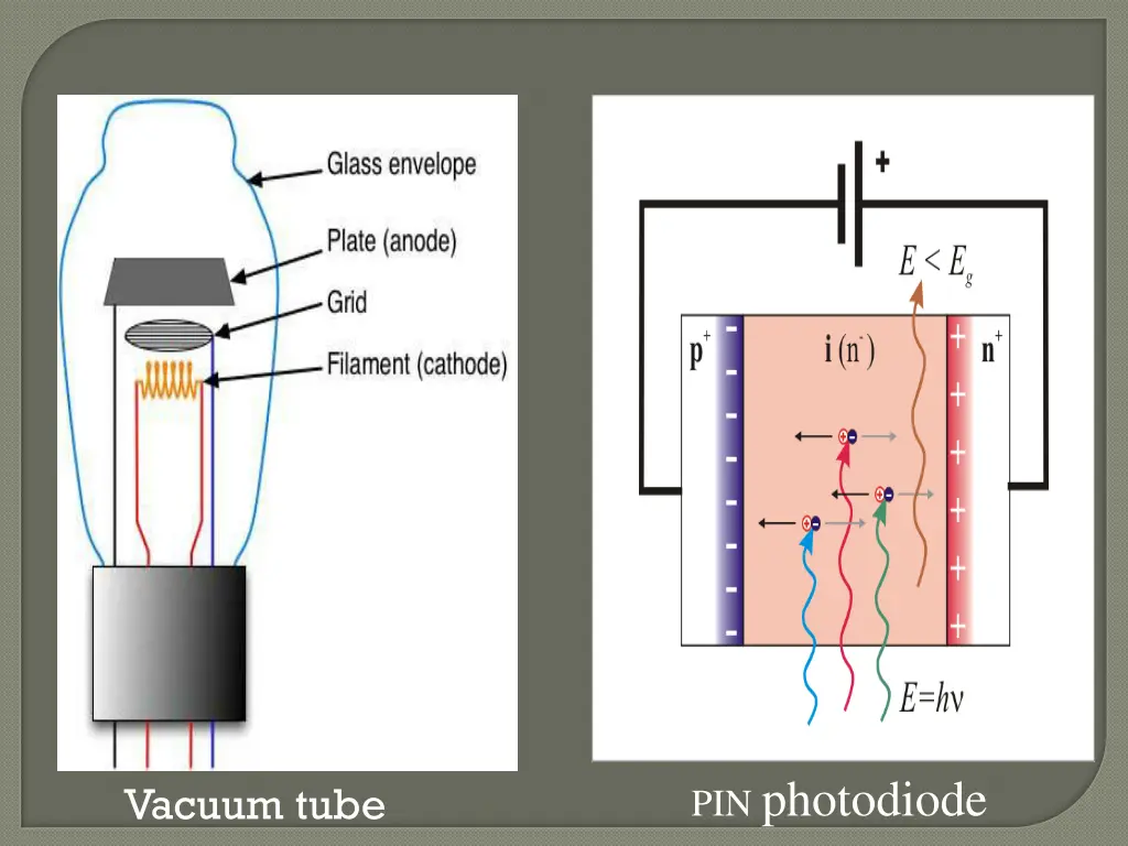 pin photodiode