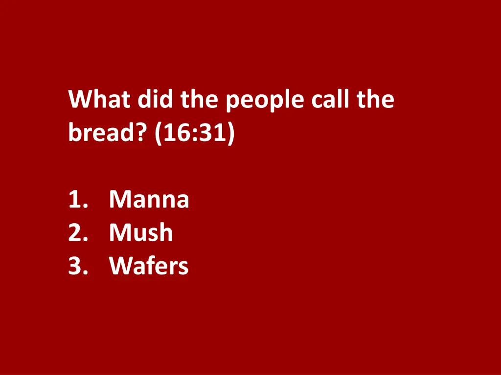 what did the people call the bread 16 31