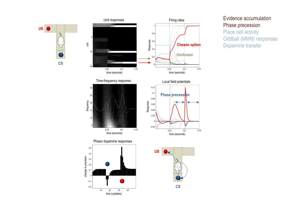 evidence accumulation phase precession place cell