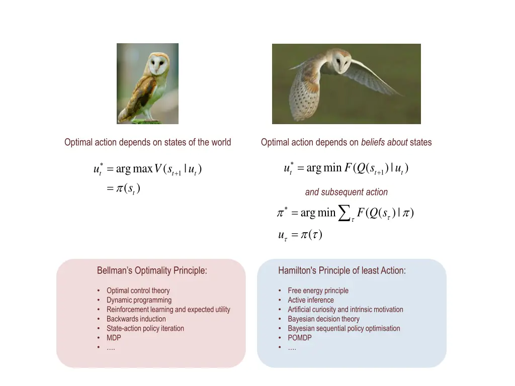 optimal action depends on states of the world