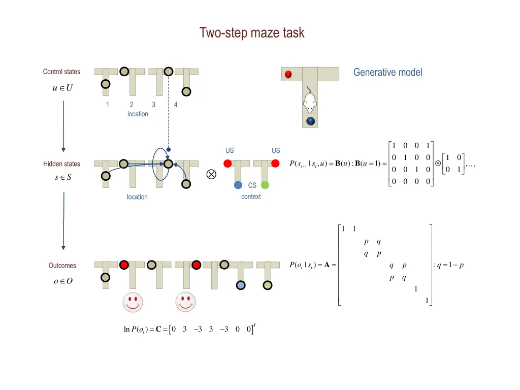 two step maze task