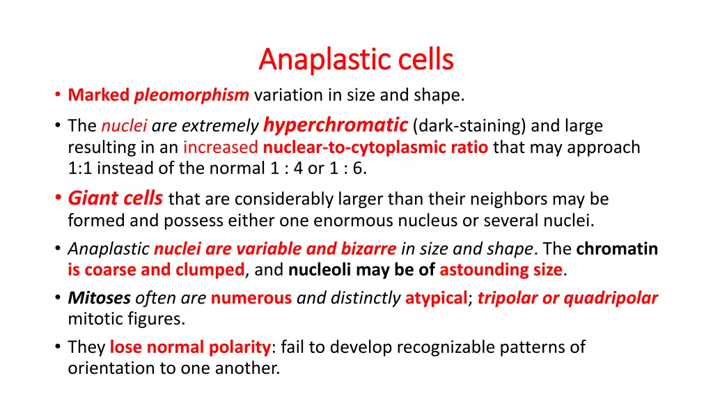 anaplastic cells anaplastic cells