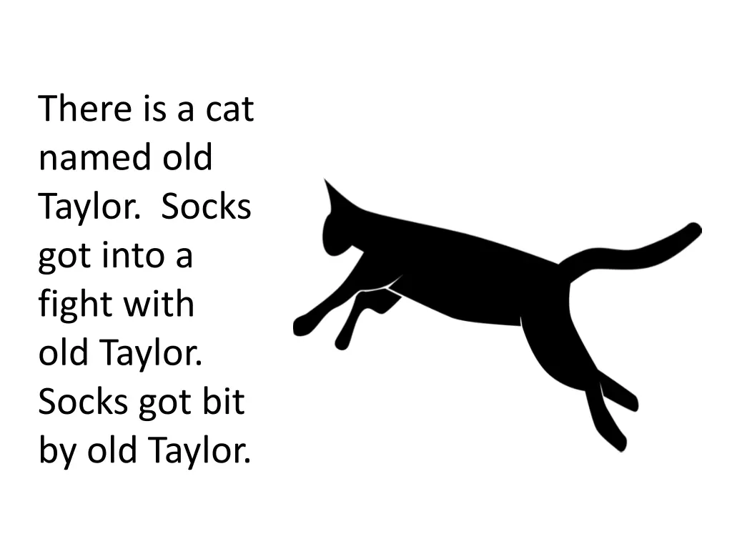 there is a cat named old taylor socks got into