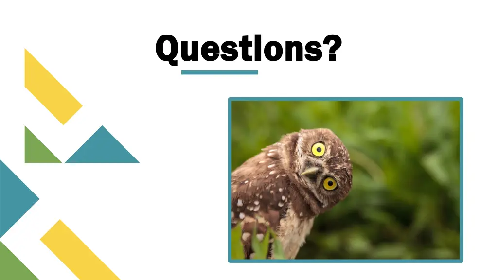 questions questions