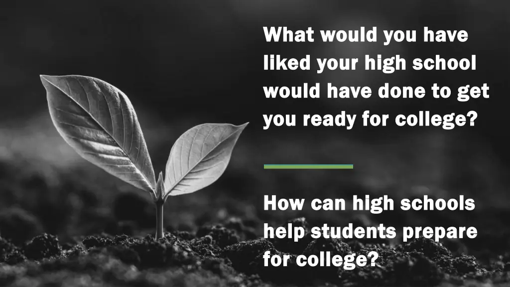 what would you have what would you have liked
