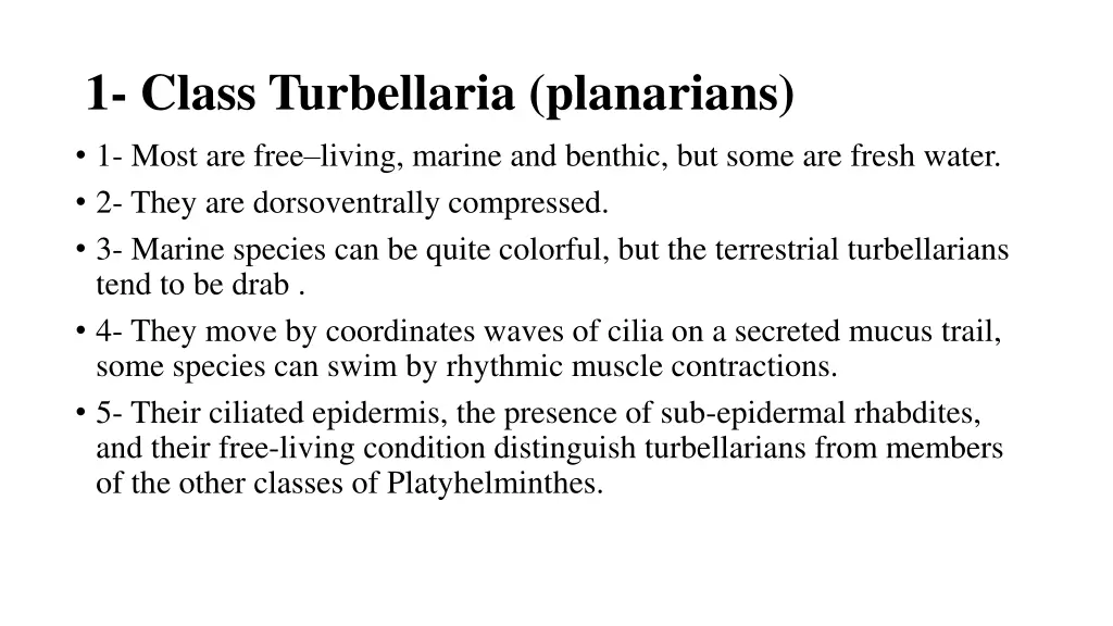 1 class turbellaria planarians 1 most are free