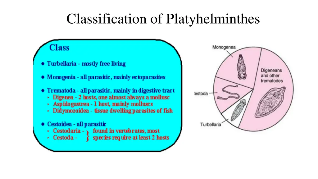 classification of platyhelminthes