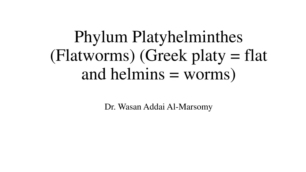phylum platyhelminthes flatworms greek platy flat