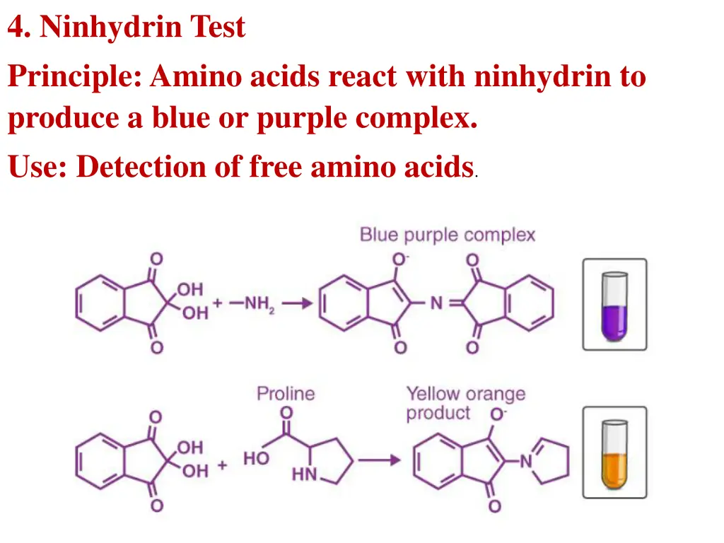 4 ninhydrin test principle amino acids react with