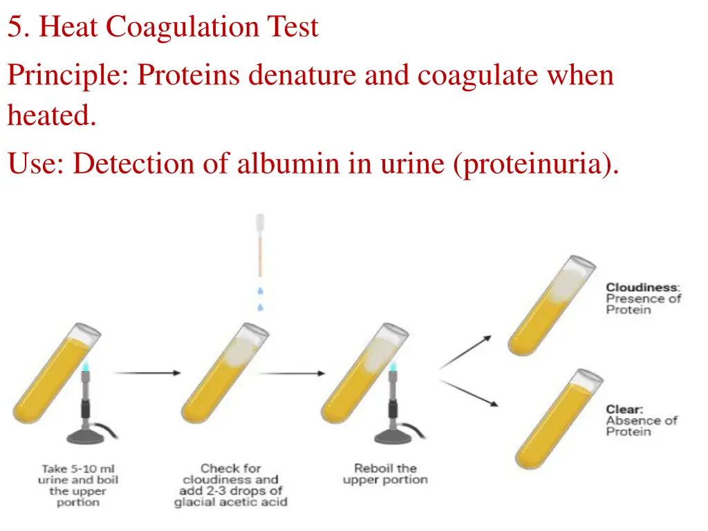 5 heat coagulation test principle proteins