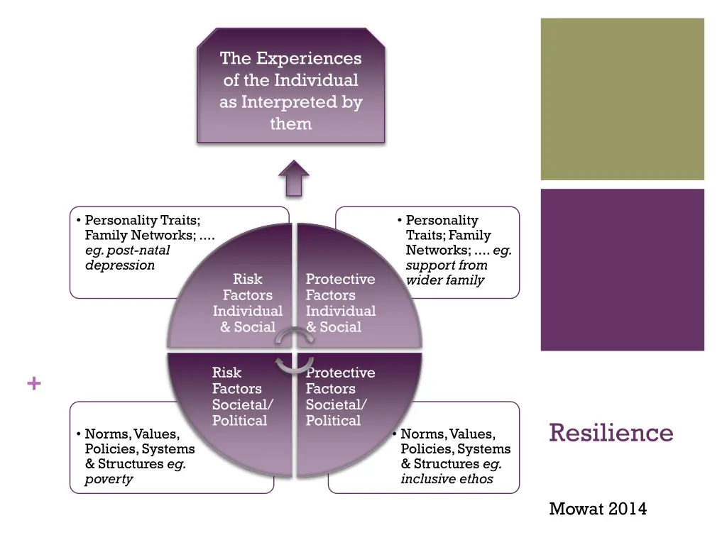 the experiences of the individual as interpreted