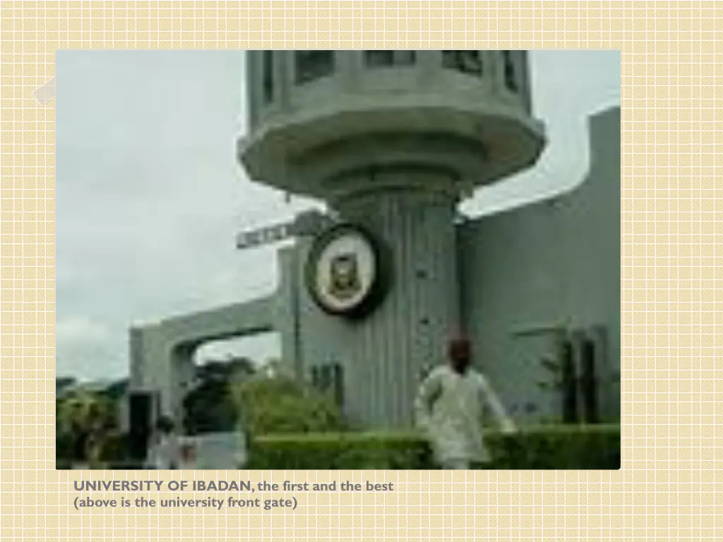 university of ibadan the first and the best above