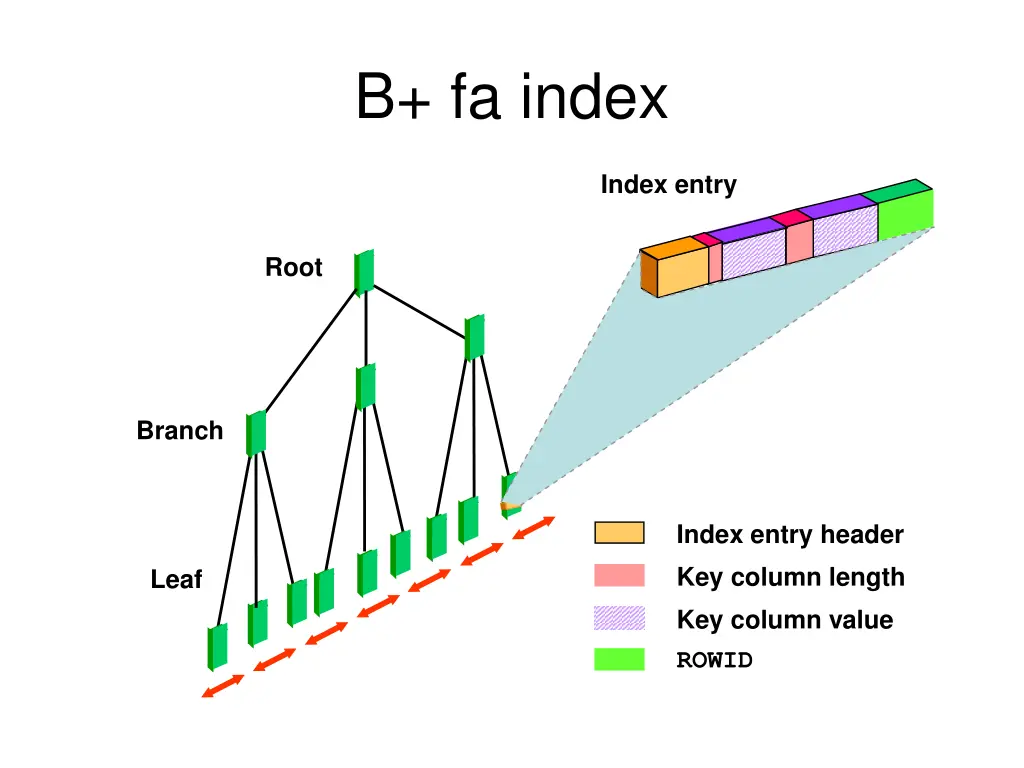 b fa index
