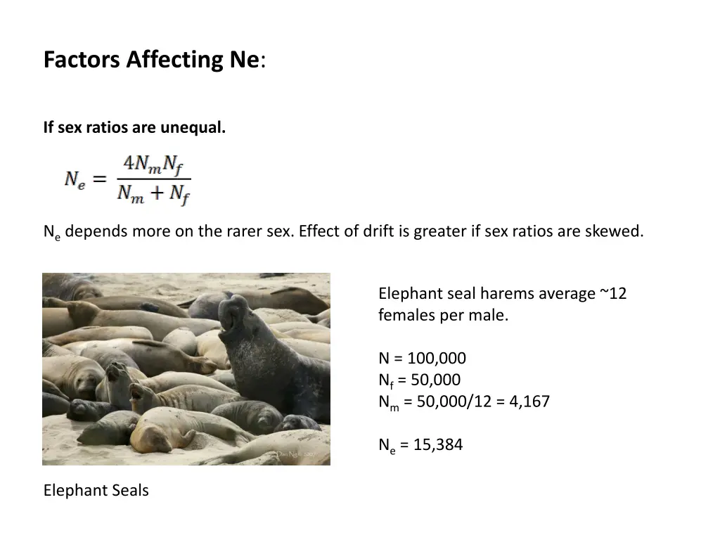 factors affecting ne