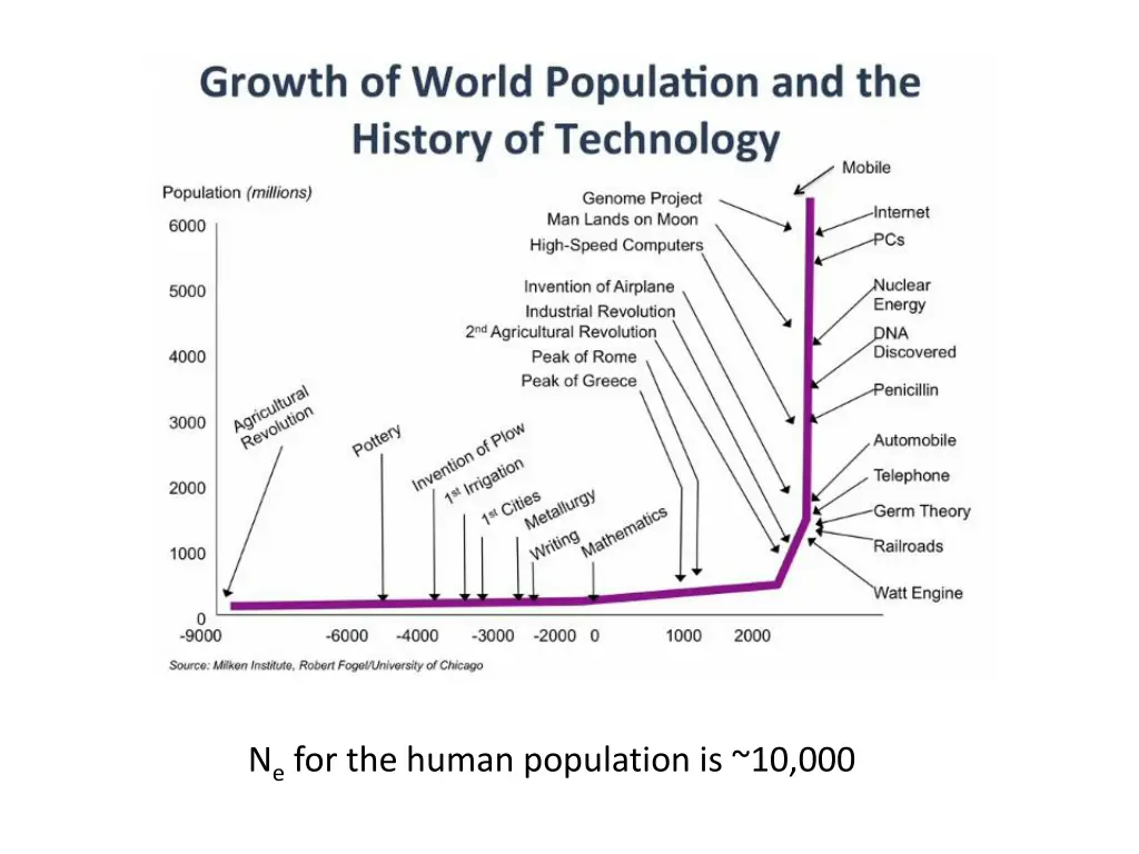 n e for the human population is 10 000