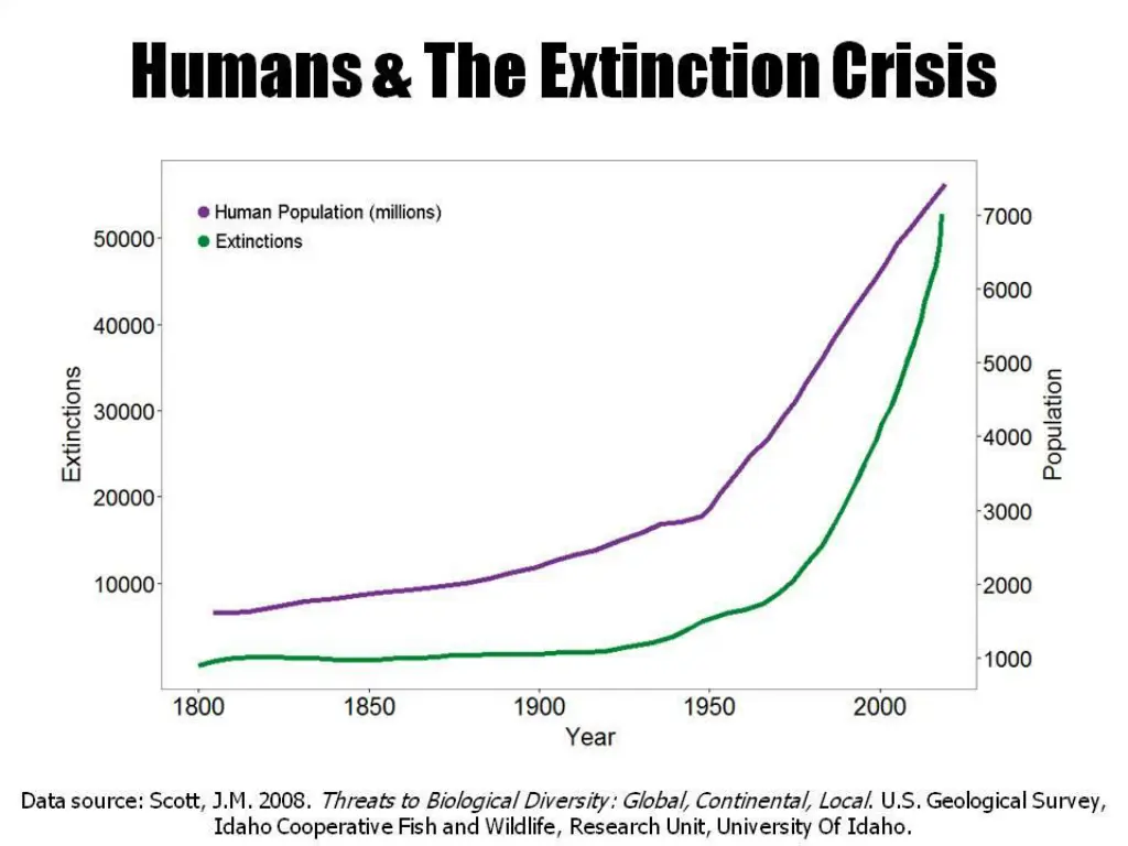 slide21