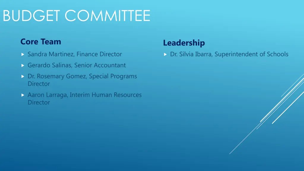 budget committee