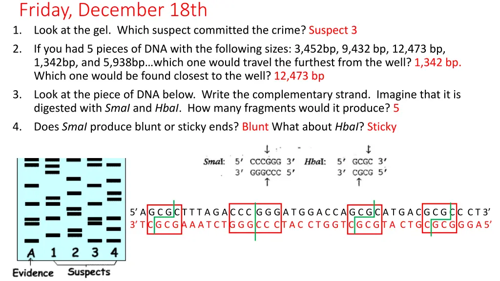 friday december 18th 1 look at the gel which