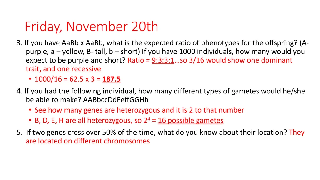 friday november 20th 1