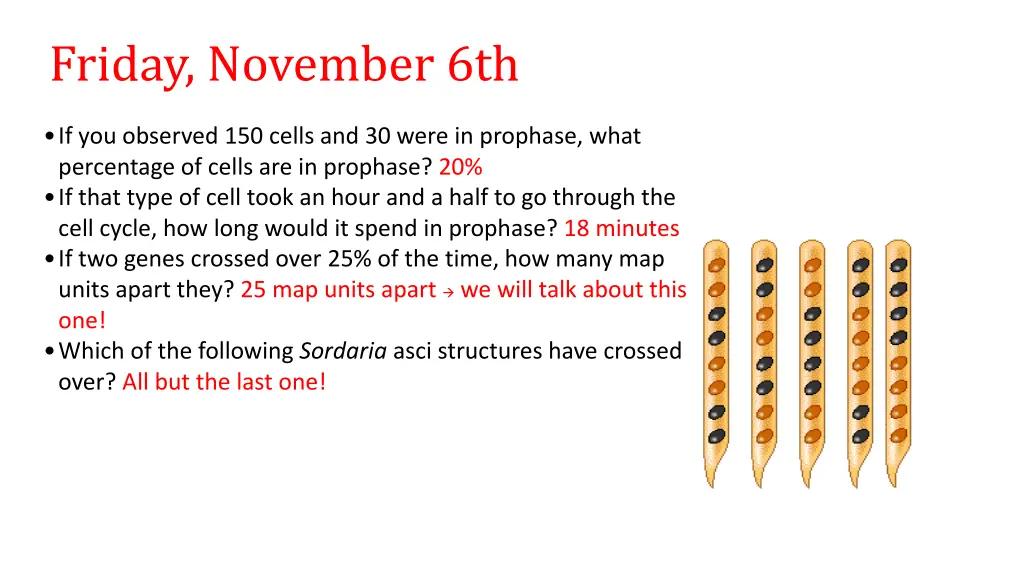 friday november 6th 1