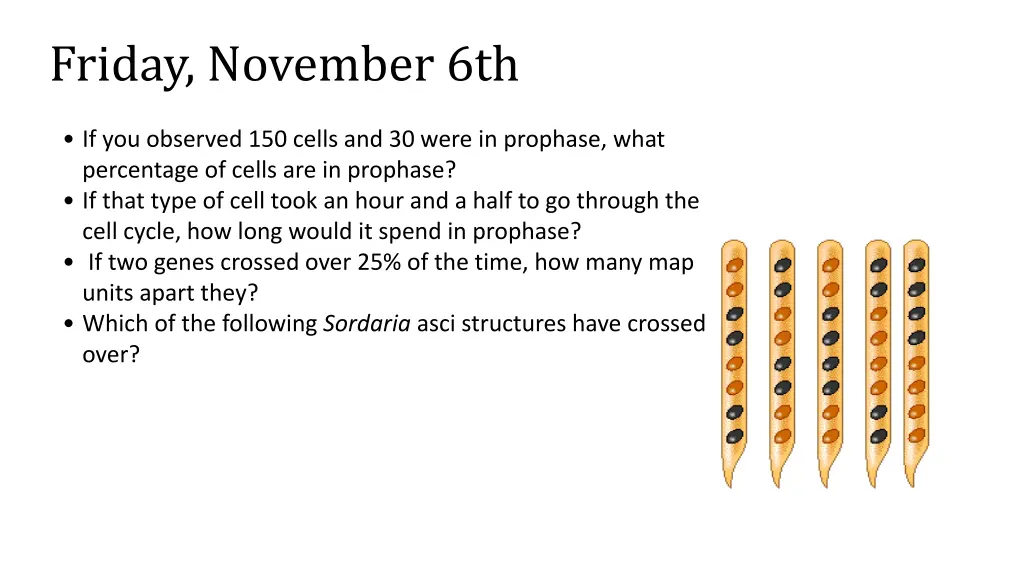 friday november 6th