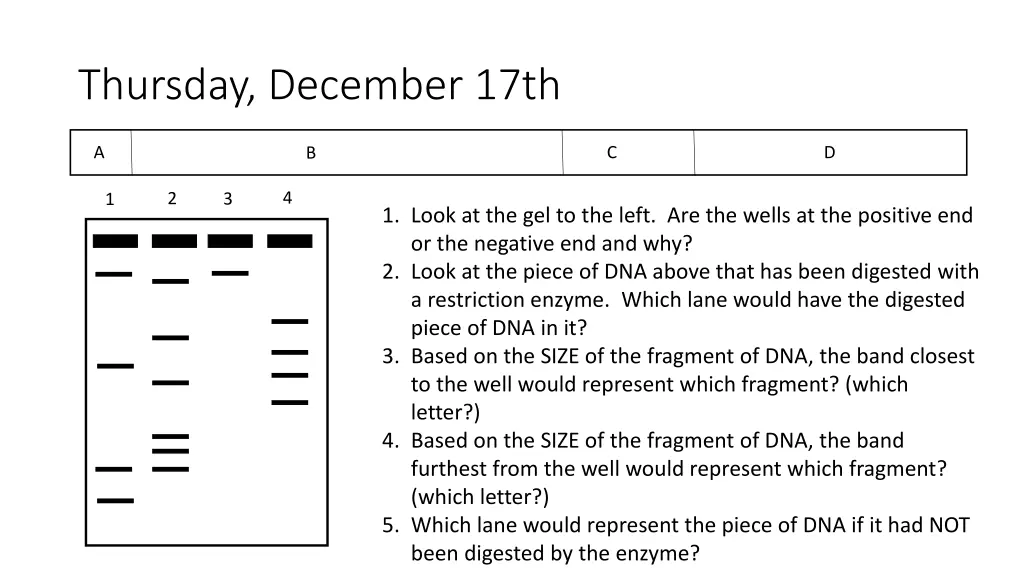 thursday december 17th