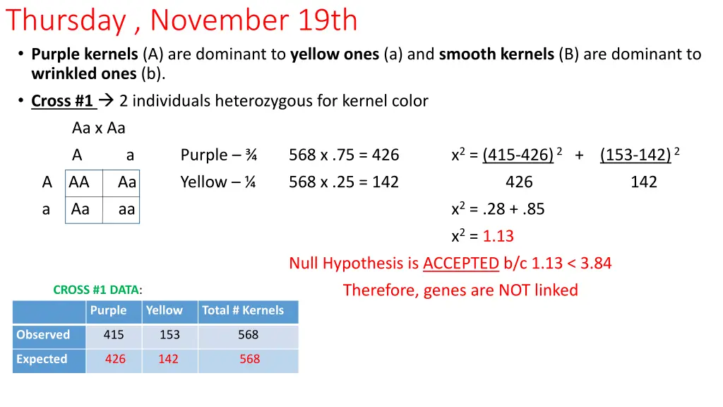 thursday november 19th purple kernels 1